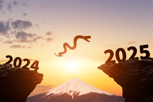 2024年から2025年へ飛躍する蛇　2025年新年イメージ